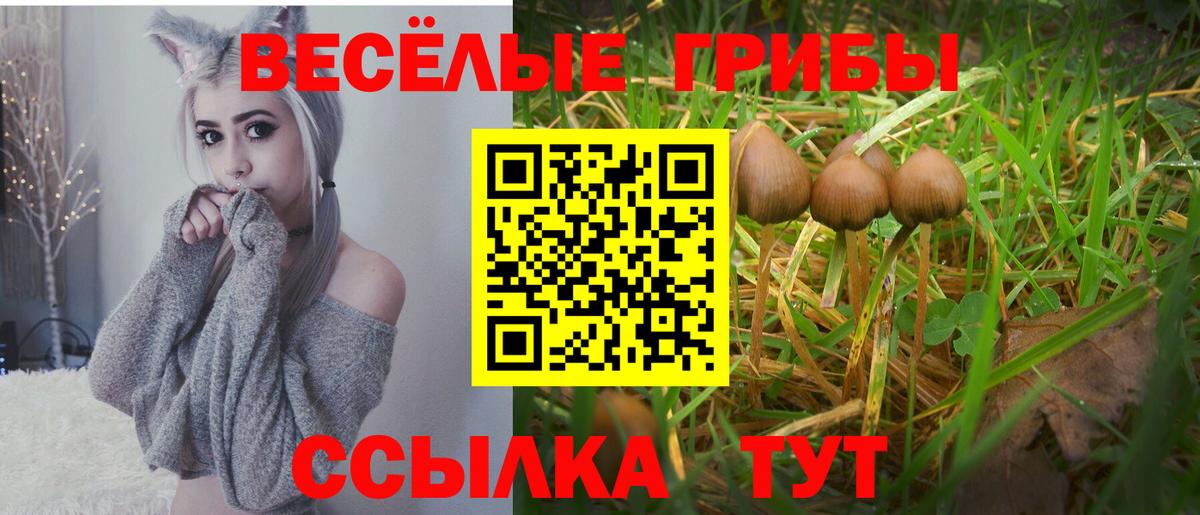 Галлюциногенные грибы ЛСД Ногинск